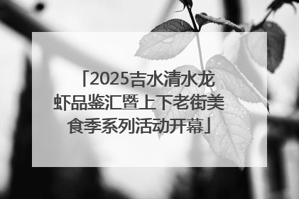 2025吉水清水龙虾品鉴汇暨上下老街美食季系列活动开幕