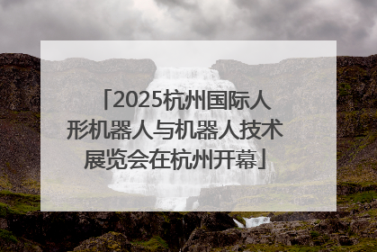 2025杭州国际人形机器人与机器人技术展览会在杭州开幕