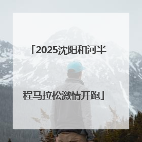 2025沈阳和河半程马拉松激情开跑