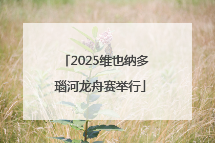 2025维也纳多瑙河龙舟赛举行