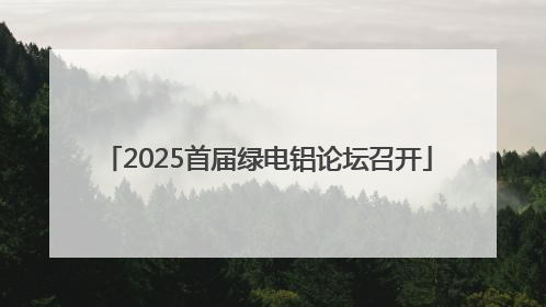 2025首届绿电铝论坛召开