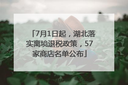 7月1日起，湖北落实离境退税政策，57家商店名单公布
