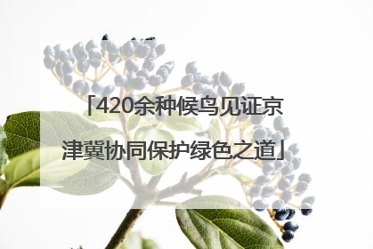 420余种候鸟见证京津冀协同保护绿色之道