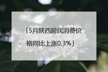 5月陕西居民消费价格同比上涨0.3%