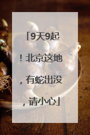 9天9起！北京这地，有蛇出没，请小心