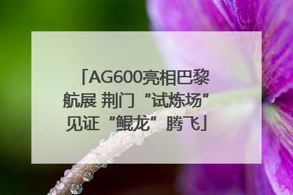 AG600亮相巴黎航展 荆门“试炼场”见证“鲲龙”腾飞