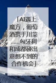 AI遇上魔方，葡萄酒携手川菜……匈牙利和成都碰出意想不到的合作机会