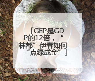 GEP是GDP的12倍，“林都”伊春如何“点绿成金”